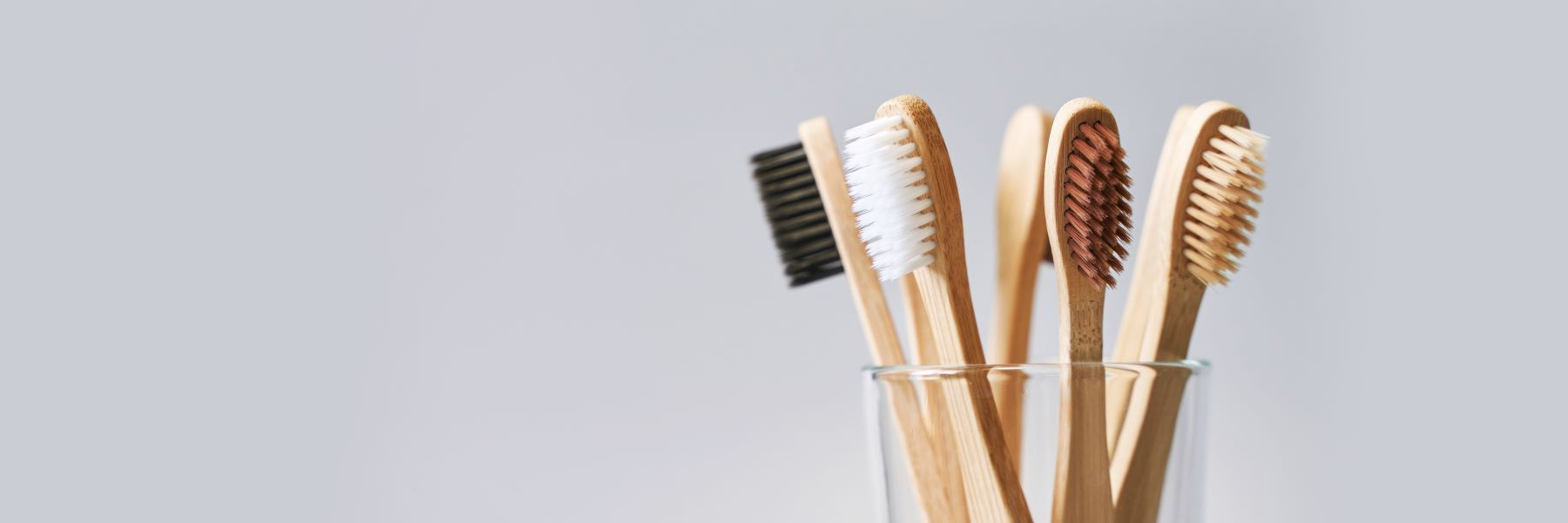 Preventive Dentistry | Dentist